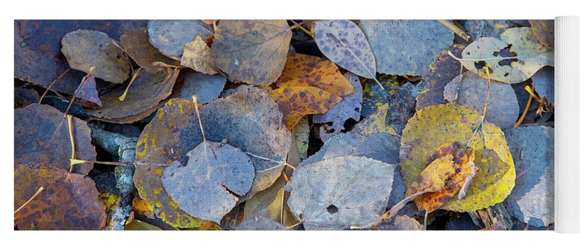 Leaves Yoga Mat featuring the photograph Leaf Fall by Mark Hunter