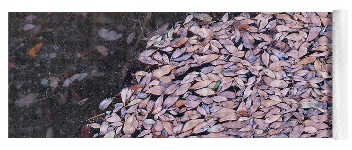 Leaves Yoga Mat featuring the photograph Leaves And Ice by Karen Rispin