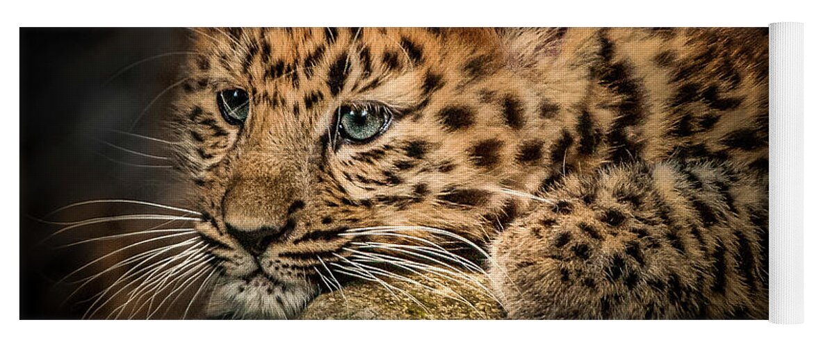 Wild Animal Yoga Mat featuring the photograph Leopard Cub by Chris Boulton