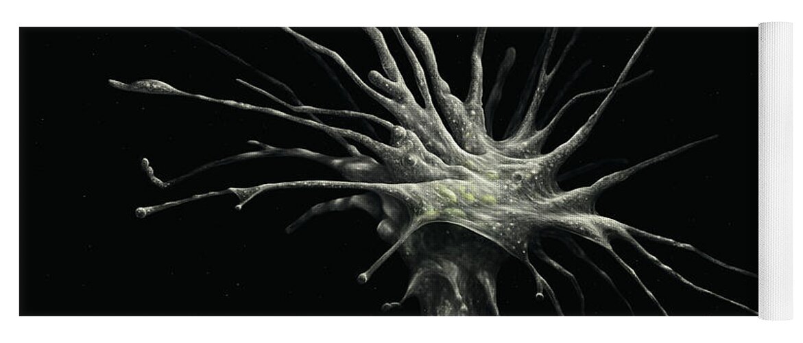 Protozoa Yoga Mat featuring the digital art Leptophrys Amoeba by Kate Solbakk