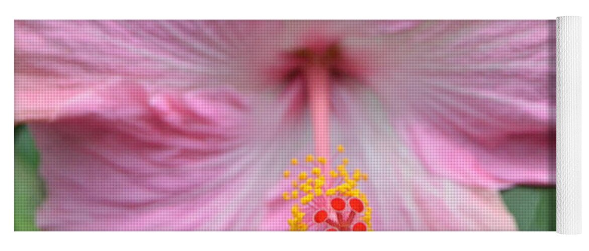 Flower Yoga Mat featuring the photograph Light Pink Hibiscus 3 by Amy Fose