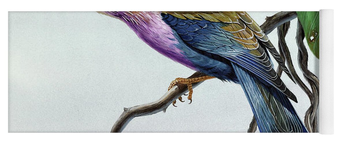 Wildlife Yoga Mat featuring the painting Lilac-breasted Roller by Don Balke
