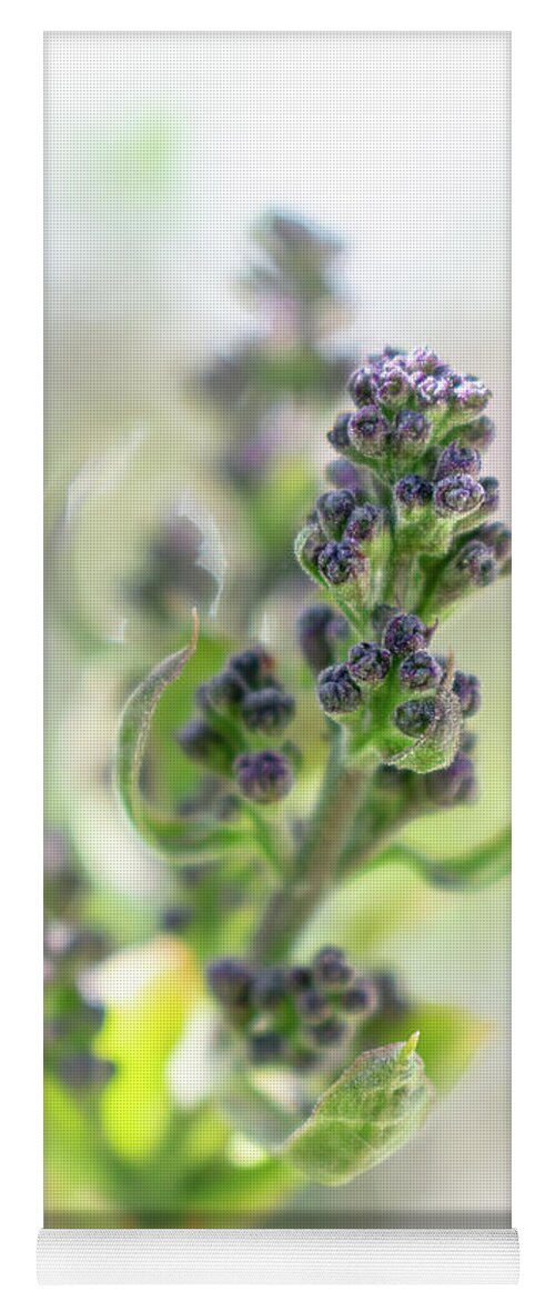 Bud Yoga Mat featuring the photograph Lilac Buds by Len Bomba