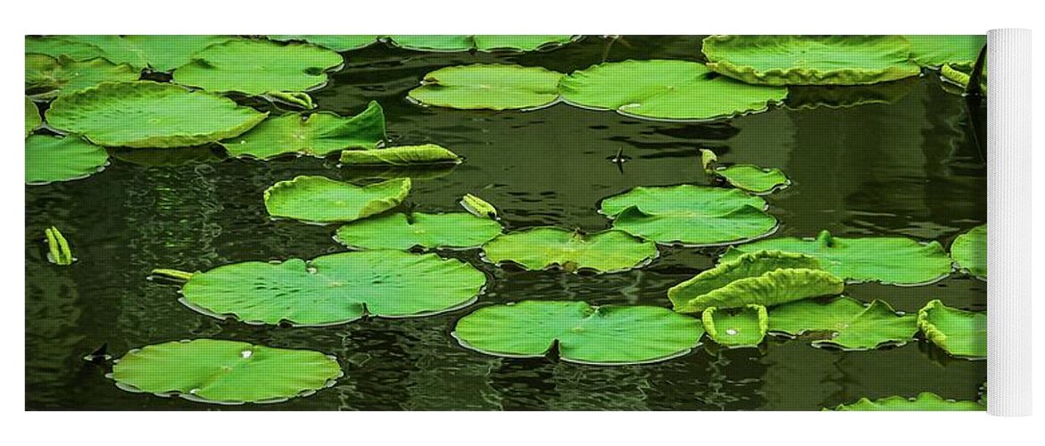Lilies Yoga Mat featuring the photograph Lilies of the pond by Tim Ernst