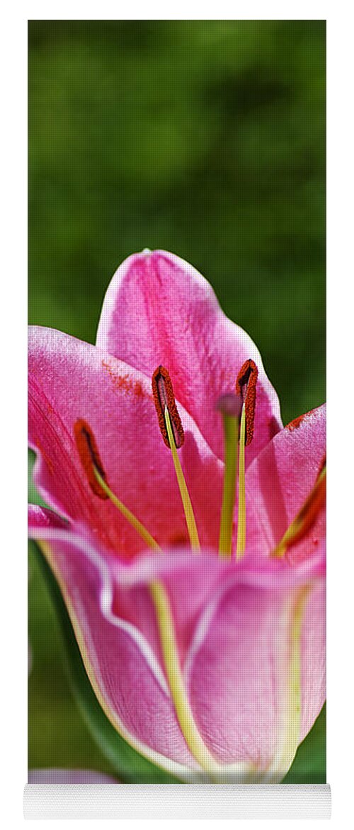 Lily Flower Pink Yoga Mat featuring the photograph Lily Flower Pink by Joy Watson