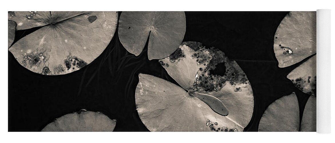 Nymphaeaceae Yoga Mat featuring the photograph Lily Pads I Toned by David Gordon