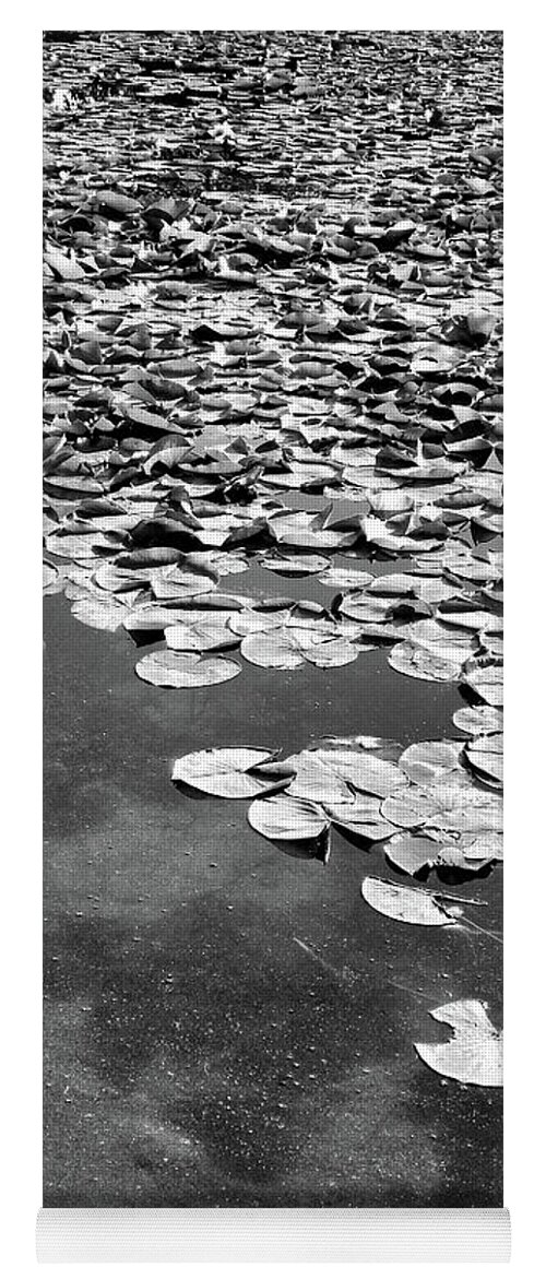 Ann Arbor Yoga Mat featuring the photograph Lily Pads by Phil Perkins