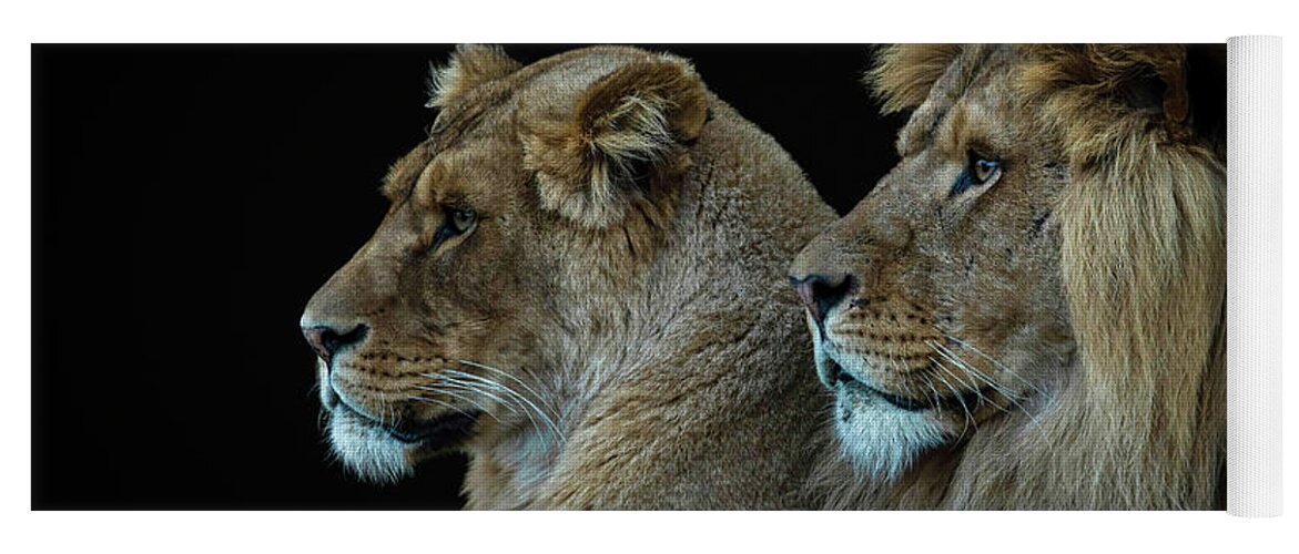 Lion Yoga Mat featuring the digital art Lion And Lioness Portrait by Marjolein Van Middelkoop