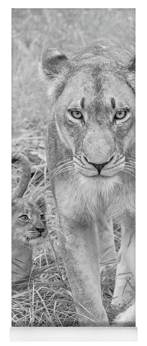 Lioness Yoga Mat featuring the photograph Lioness and Cub Walking by Rebecca Herranen