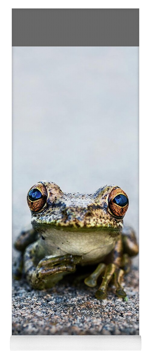Animal Yoga Mat featuring the photograph Pondering Frog Too by Laura Fasulo