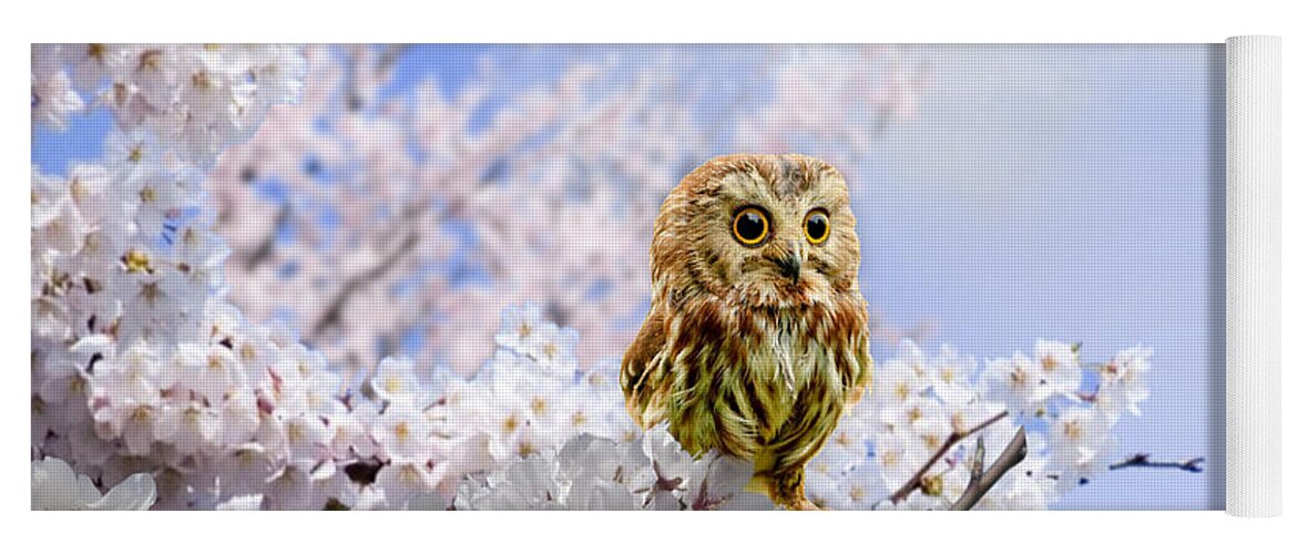 Owl Yoga Mat featuring the mixed media Little Owl on Cherry Tree by Morag Bates
