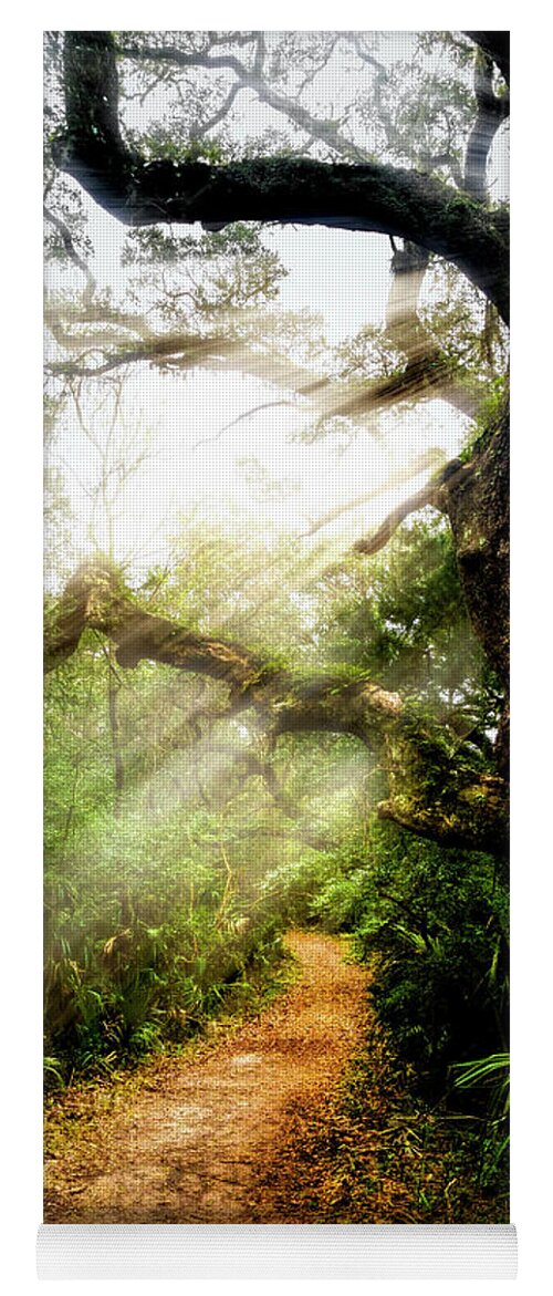 Clouds Yoga Mat featuring the photograph Little Talbot Island Sunlit Trail by Debra and Dave Vanderlaan