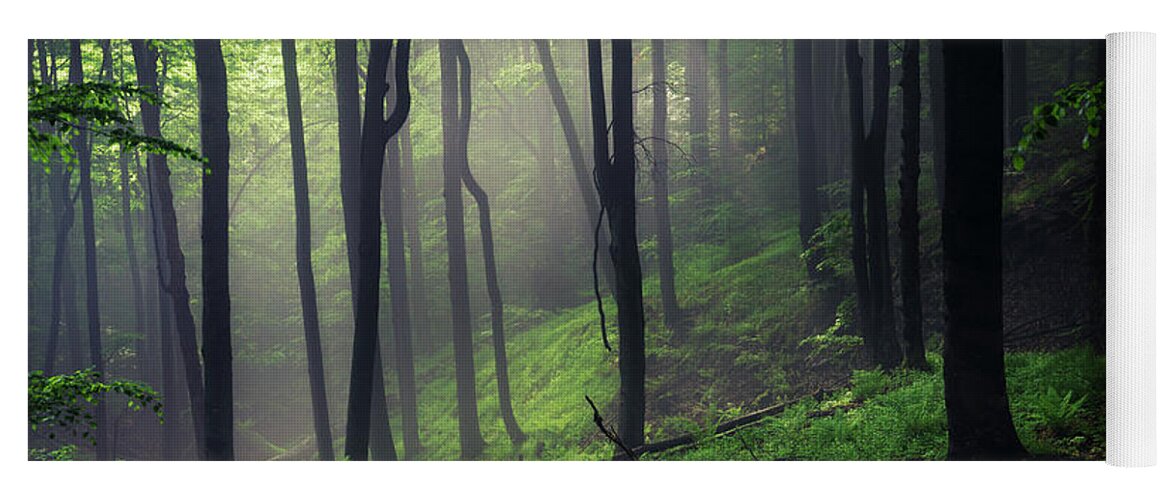 Mist Yoga Mat featuring the photograph Living Forest by Evgeni Dinev