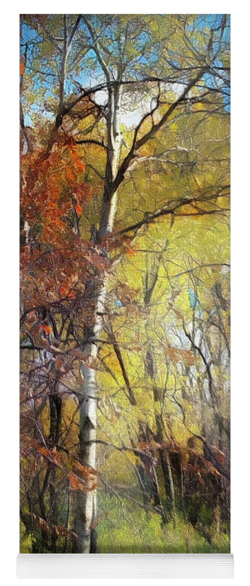 Trees Yoga Mat featuring the photograph Lone Birch by Tim Nyberg
