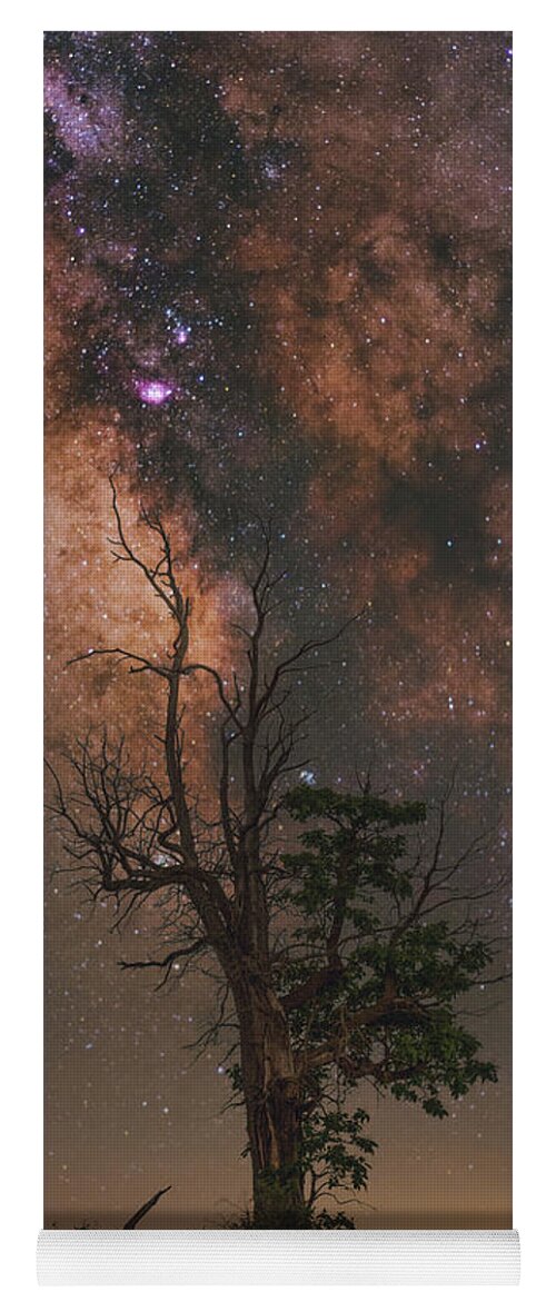 Nightscape Yoga Mat featuring the photograph Lone Tree by Grant Twiss