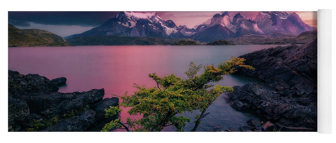 Patagonia Yoga Mat featuring the photograph Lone Tree by Henry w Liu
