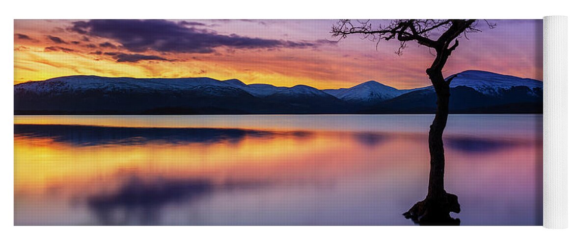 Loch Lomond Yoga Mat featuring the photograph Lone tree sunset at Milarrochy Bay, Loch Lomond, Scotland by Neale And Judith Clark