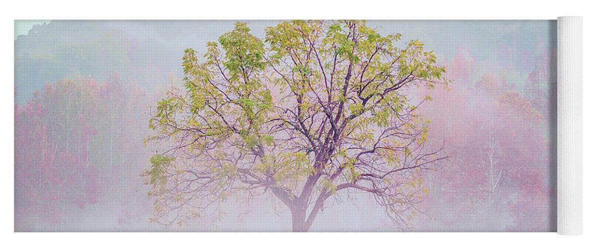 Fall Colors Yoga Mat featuring the photograph Lonely Tree by Darrell DeRosia