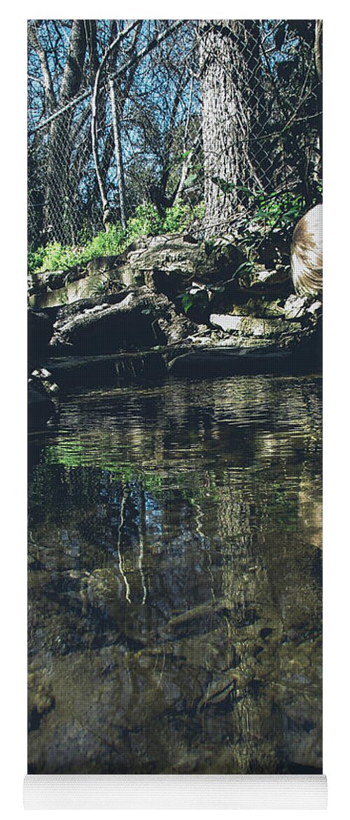 Creek Yoga Mat featuring the photograph Looking for Crawdads by W Craig Photography