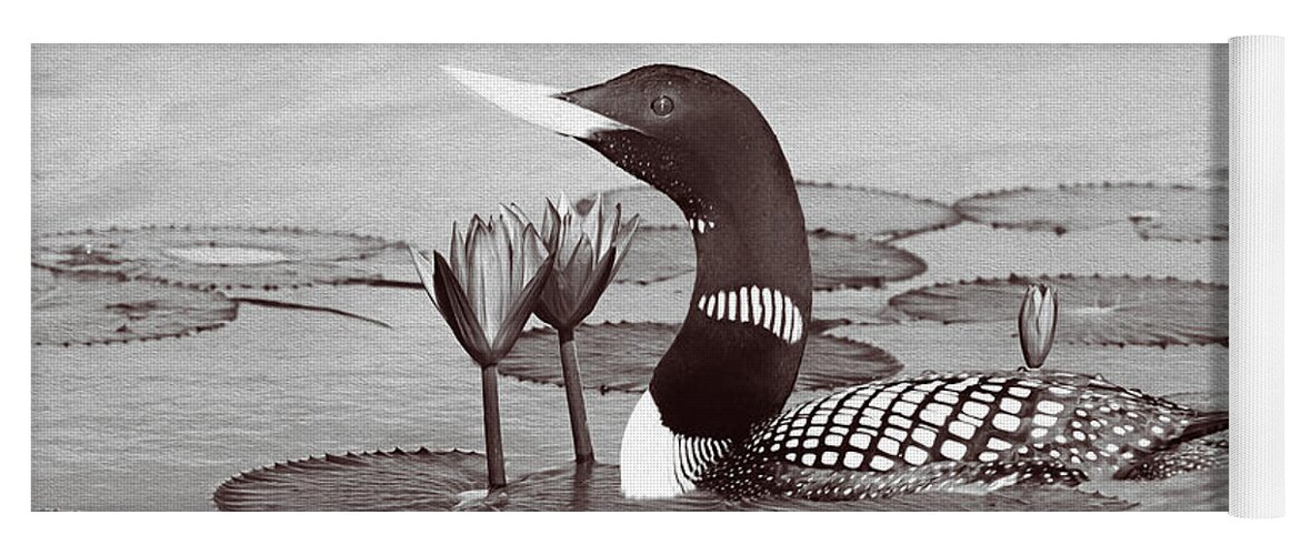 Yellow Billed Loon Yoga Mat featuring the photograph Loon and Lotus BW by Laura D Young