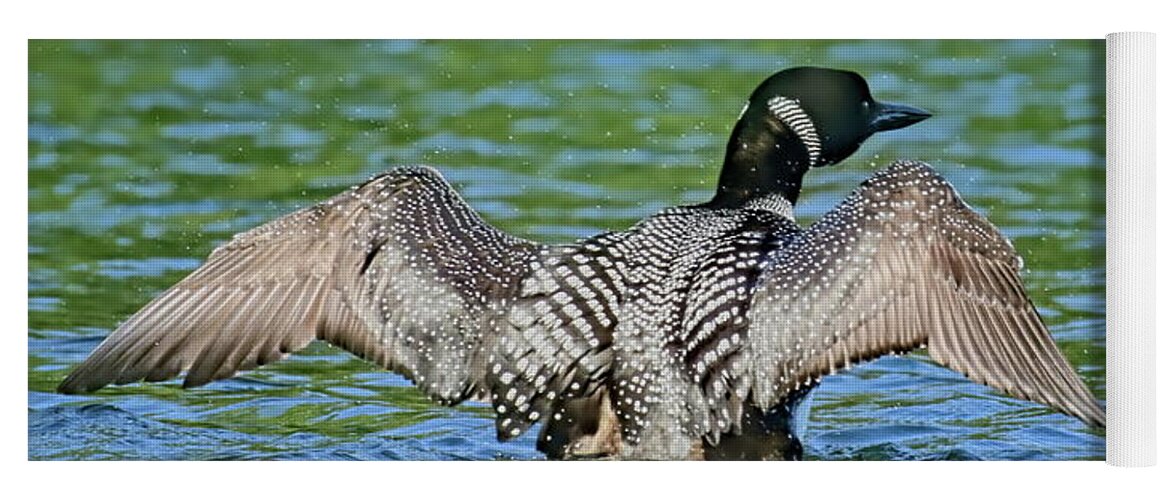 Bird Yoga Mat featuring the photograph Loon Shaking by Dale Kauzlaric