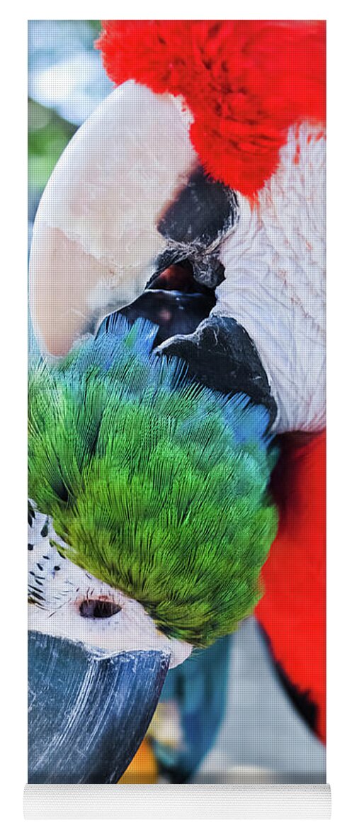Free Flight Yoga Mat featuring the photograph Macaw Lovers by Kyle Hanson