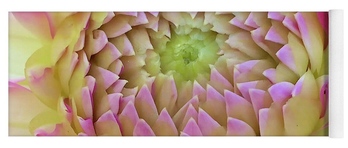 Floral Yoga Mat featuring the digital art Macro Bright Pink, Yellow And White Dahlia Bloom by Kirt Tisdale