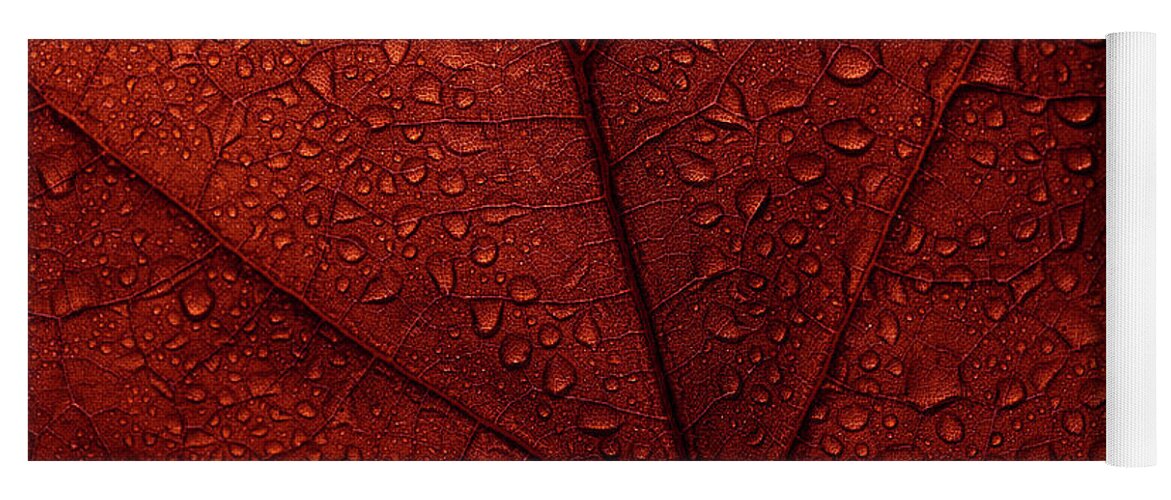 Autumn Yoga Mat featuring the photograph Macro photo of red fall leaf with raindrops. by Jelena Jovanovic