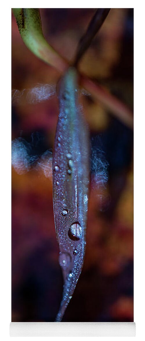 Fall Yoga Mat featuring the photograph Macro Photography - Autumn Water Drops by Amelia Pearn