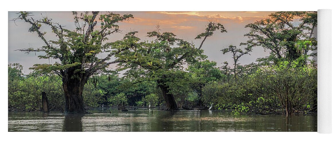 Amazon Yoga Mat featuring the photograph Macrolobium trees Laguna Grande Cuyabeno and Cocoi heron by Henri Leduc