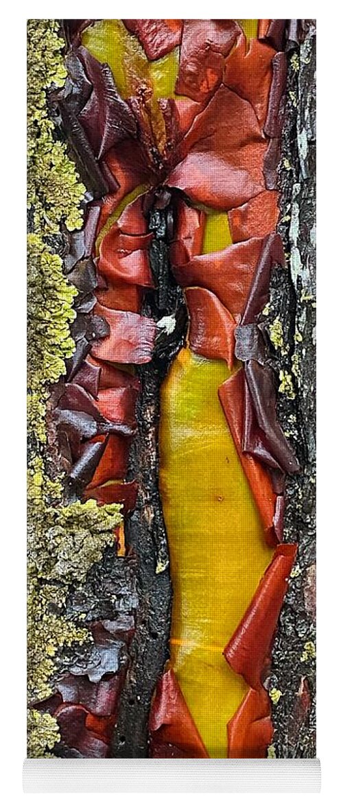 Abstract Yoga Mat featuring the photograph Madrone Tree Bark Abstract by Jerry Abbott