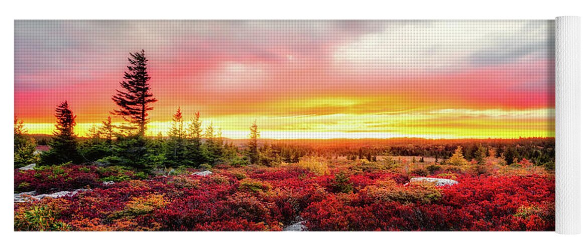Landscape Yoga Mat featuring the photograph Magic of Autumn by C Renee Martin