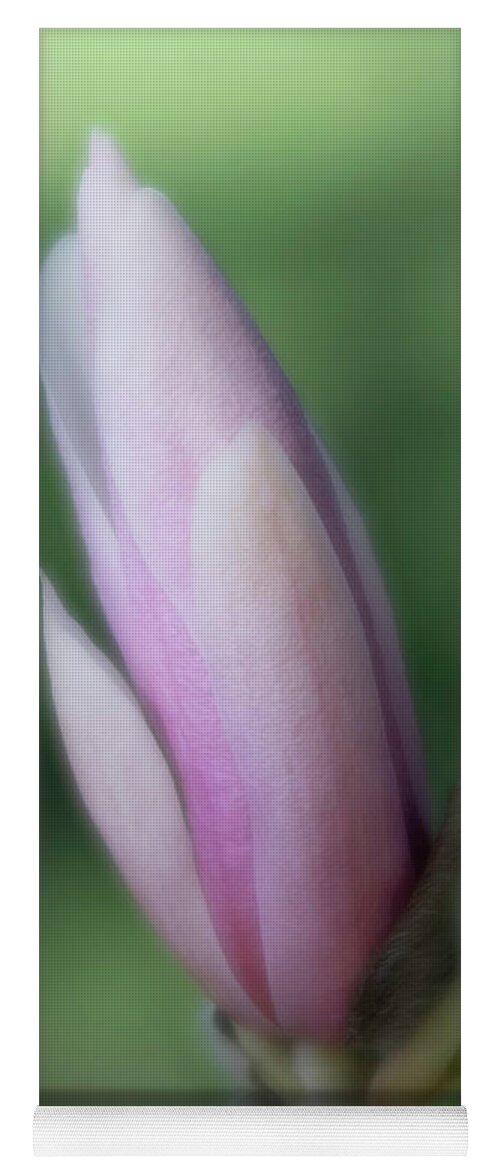 Magnolia Yoga Mat featuring the photograph Magnolia Bud by Forest Floor Photography