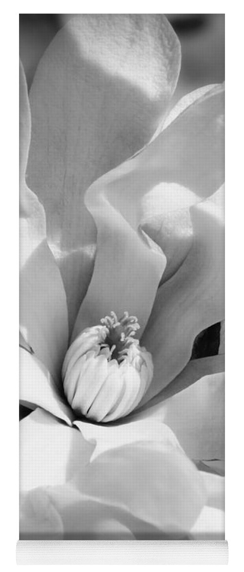Black And White Yoga Mat featuring the photograph Magnolia Magic Black and White by Carol Groenen