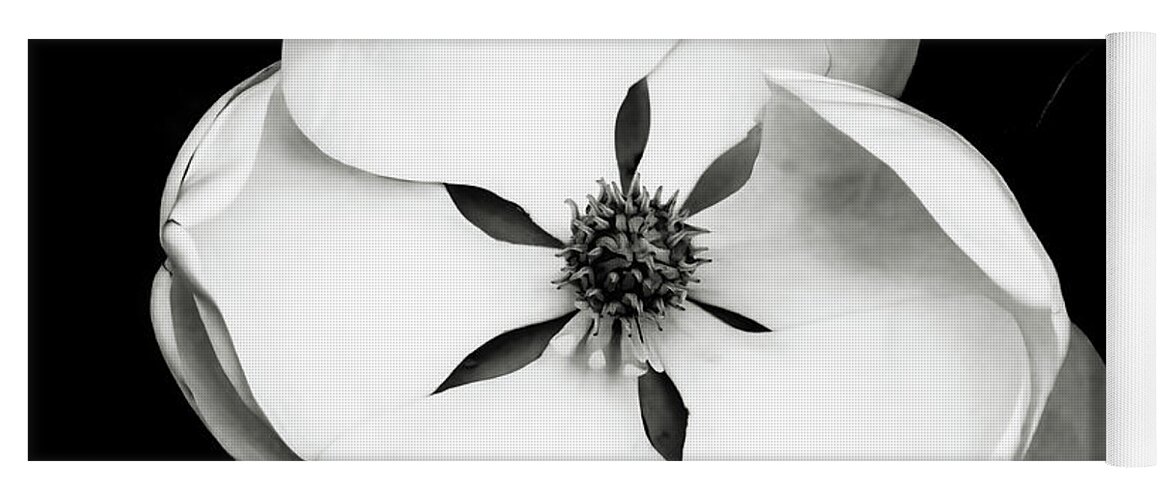 Blossum Yoga Mat featuring the photograph Magnolia Square Black and White by Connie Carr