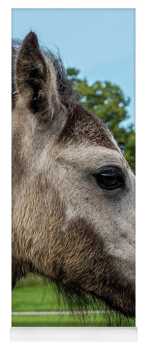Foal Yoga Mat featuring the photograph Mahna Mahna a foal portrait by Torbjorn Swenelius
