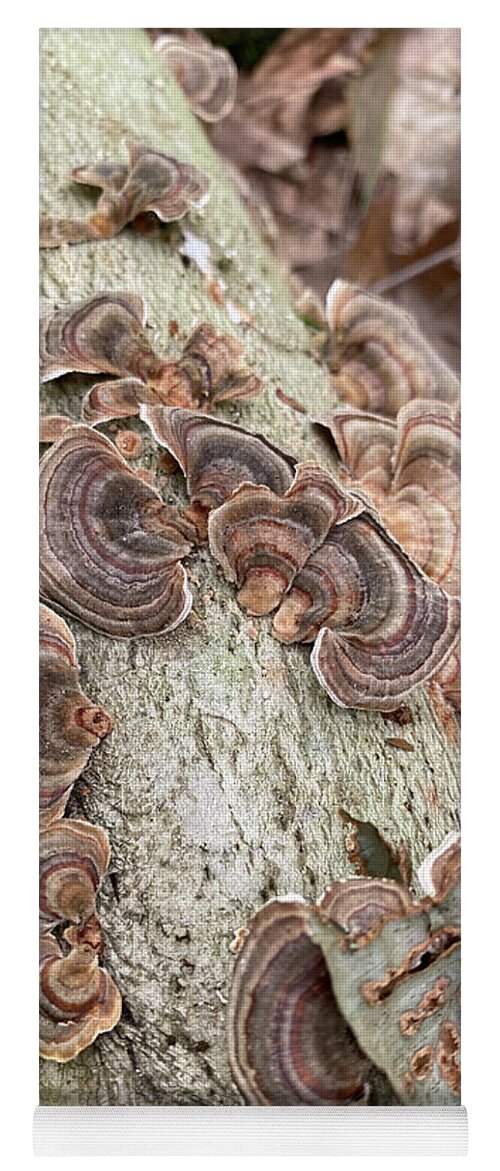 Mushrooms Yoga Mat featuring the photograph Majestic Mushrooms #49 by Anjel B Hartwell