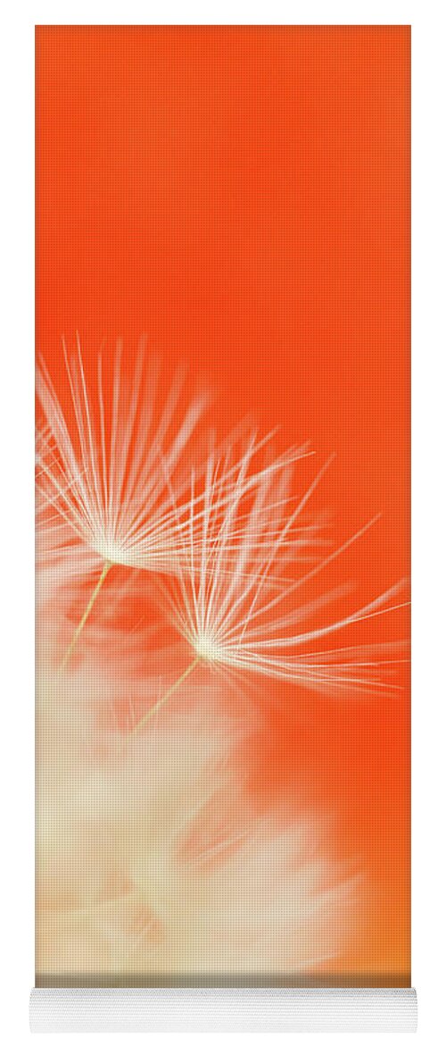 Ideas Yoga Mat featuring the photograph Make a Wish - on Orange by Anita Nicholson