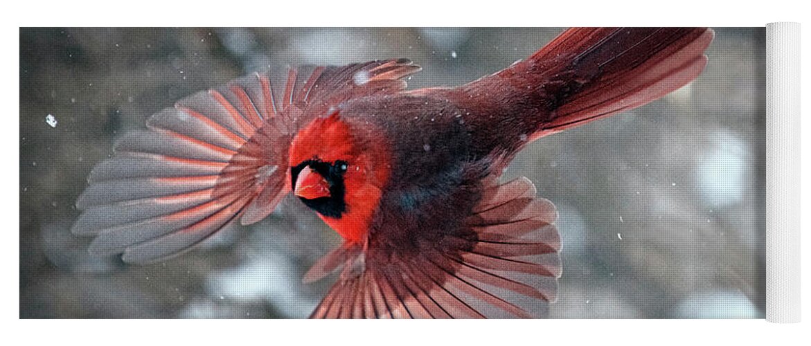 Northern Cardinal Yoga Mat featuring the photograph Male Northern Cardinal in a Snow Storm by Sandra Rust