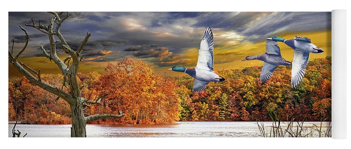 Mallard Yoga Mat featuring the photograph Mallard Ducks Flying over an Inland Lake in Autumn by Randall Nyhof