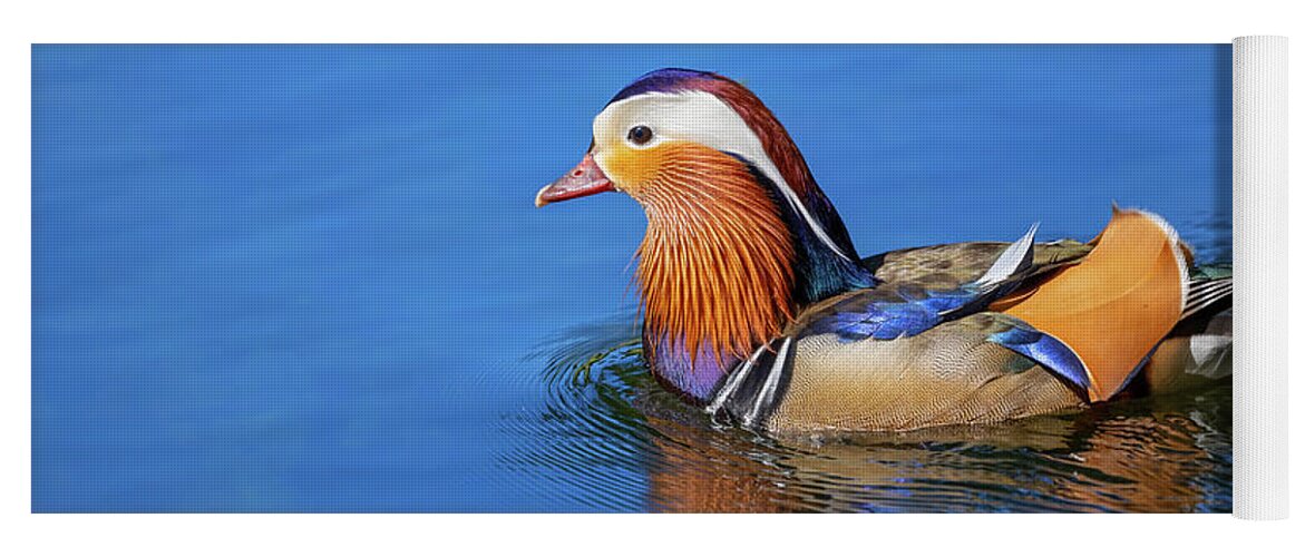 Mandarin Yoga Mat featuring the photograph Mandarin Duck Swimming In Lake by Artur Bogacki