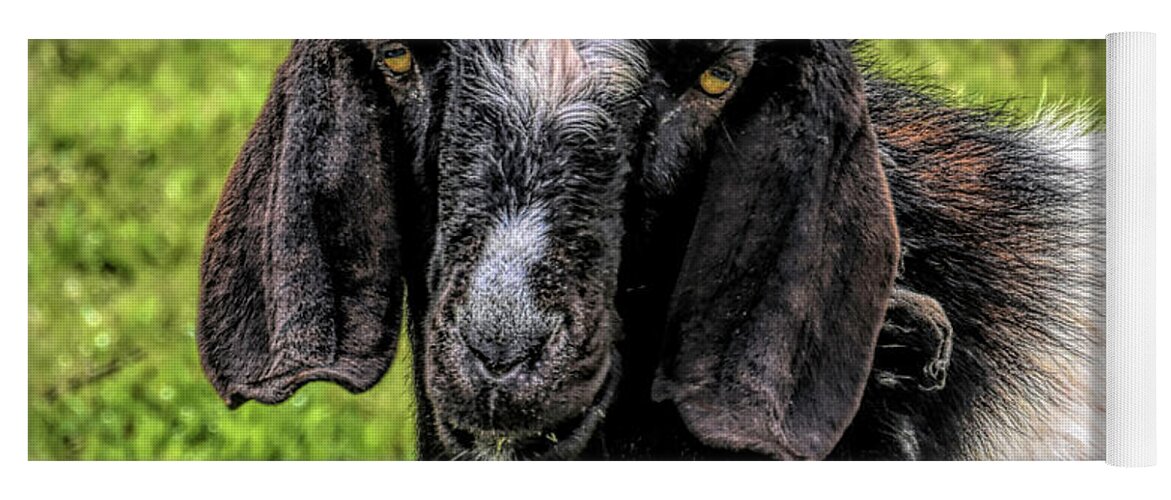 Animals.goat Yoga Mat featuring the photograph Mangy Old Goat by Barbara Snyder