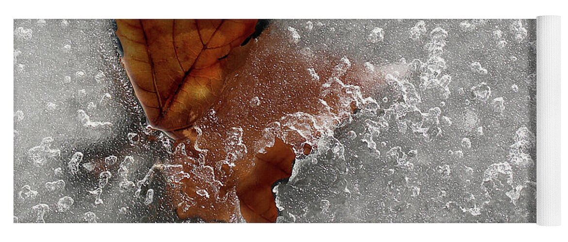  Yoga Mat featuring the photograph Maple Leaf in Ice by Natalie Dowty