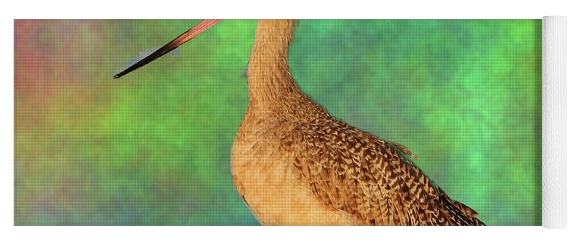 Marbled Godwit Yoga Mat featuring the photograph Marbled Godwit by Mingming Jiang
