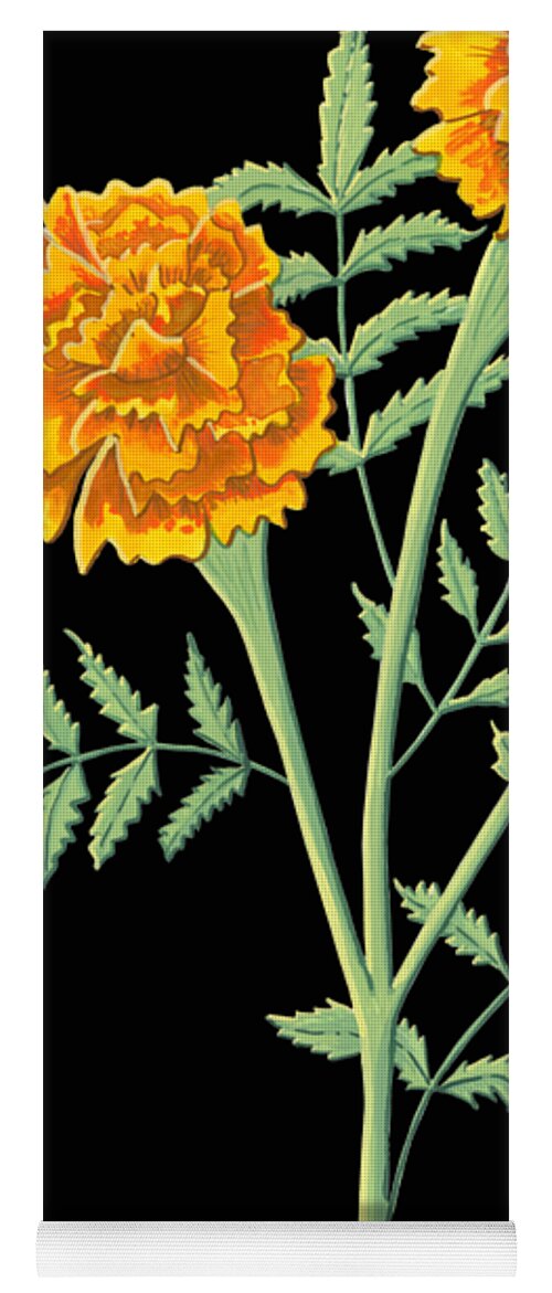 Daisy April Birth Month Flower Botanical Print on Black - Art by Jen  Montgomery Sticker by Jen Montgomery - Fine Art America
