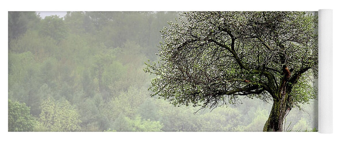 Trees Yoga Mat featuring the photograph Marilla Tree by Don Nieman