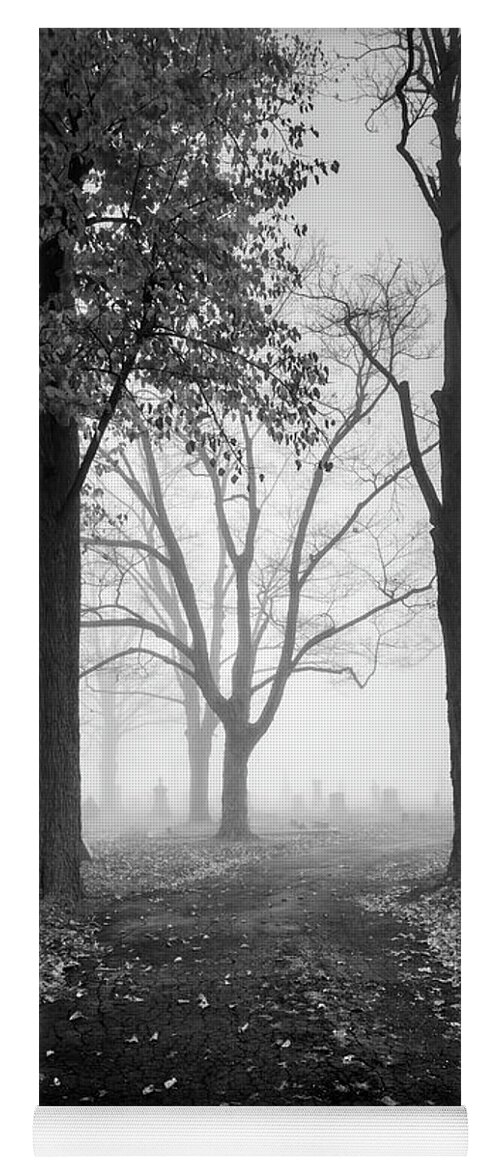 Black And White Yoga Mat featuring the photograph Mayflower Hill VII BW by David Gordon
