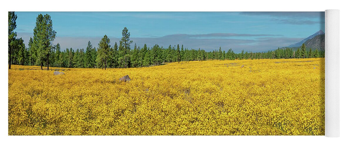 Arizona Yoga Mat featuring the photograph Meadow of Yellow Wildflowers by Jeff Goulden
