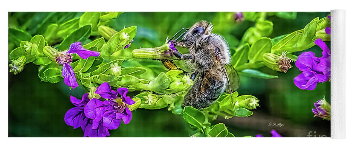 Bees Yoga Mat featuring the photograph Mining Bee In Mexican Heather by DB Hayes