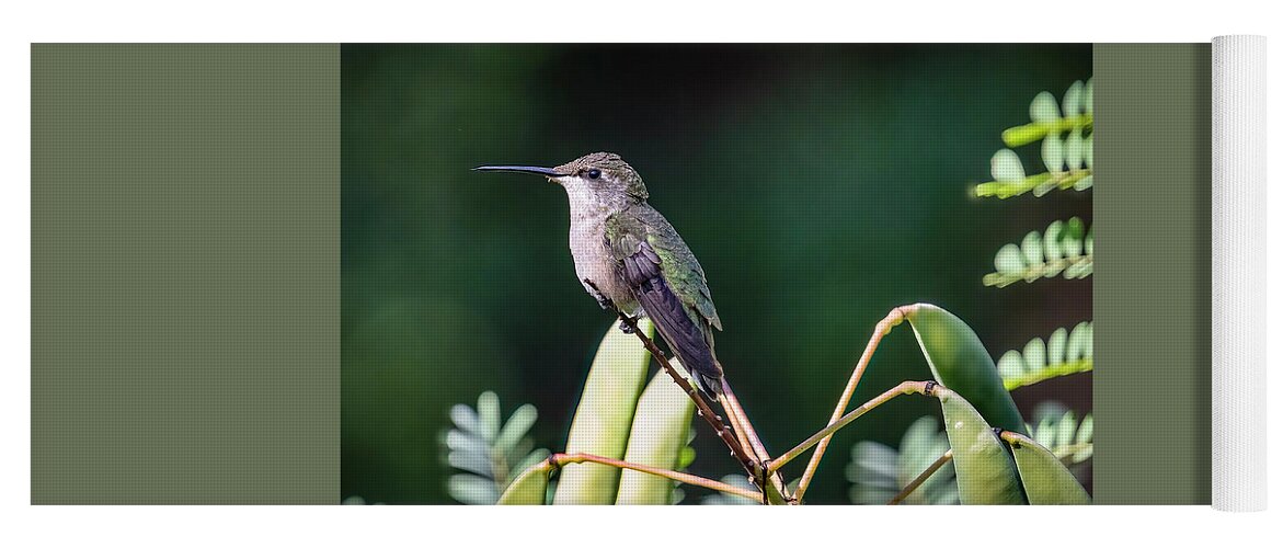 Ruby-throated Hummingbird Yoga Mat featuring the photograph Miss Ruby by Cheri Freeman